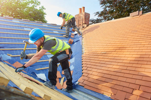 Best Roof Maintenance and Cleaning  in Tracyton, WA